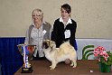 _DSC5986