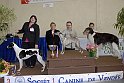 _DSC5995