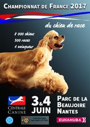 Affiche CHFSCC2017