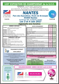 Feuille CHF SCC 2017