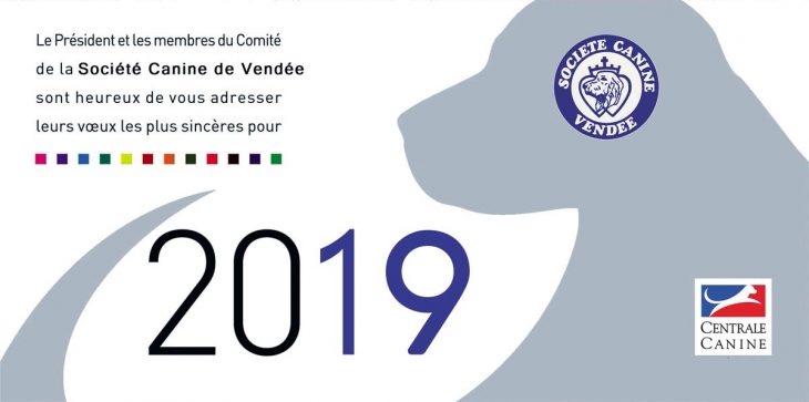 Voeux 2019 SC Vendée