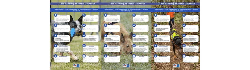 voir les affiches BEA voir les affiches BEA