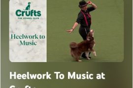 Dog dancing Crufts