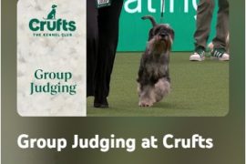 Groups Crufts