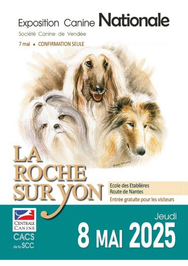 voir les horaires pour chaque race voir les horaires pour chaque race