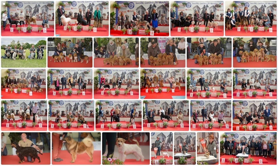 Voir les photos des podiums Voir les photos des podiums