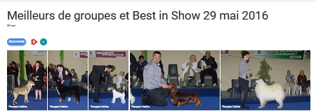 BIS 2016