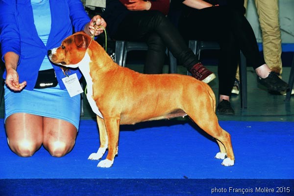 DSC_3489_600c DSC_3489_600c