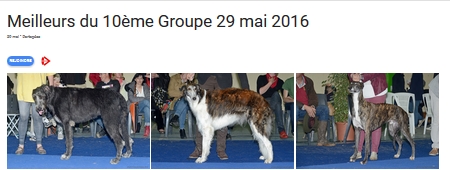 G10 2016