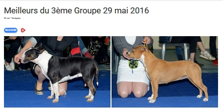 G3 2016