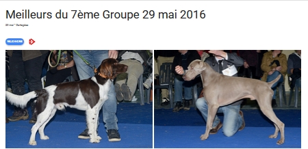 G7 2016
