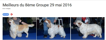 G8 2016