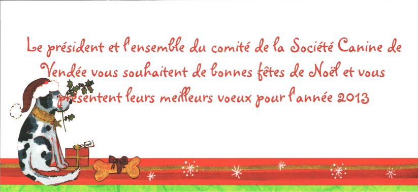 voeux SCV 2013